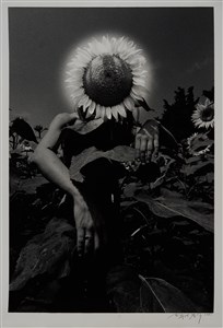 Image description is not available for 2023.050